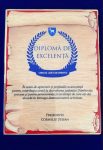 Diploma-AOSR-Dambovita-3