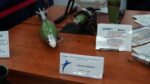 IMG-20250317-WA0016