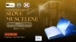 thumb Slove muscelene – 2026